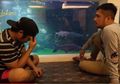 Bolak-balik Minta Maaf Karena Sudah Buat Ikan Seharga Ratusan Juta Mati, Karyawan Irfan Hakim Putuskan untuk Mengundurkan Diri, Sang Presenter: Terus Lo Mau Lari dari Tanggung Jawab