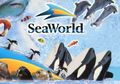 Tanpa Dibayar, Lebih dari 90% Karyawan SeaWorld Diberhentikan karena Wabah Corona