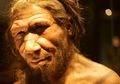 Gigi 45.000 Tahun Ungkap Kawin Silang Neanderthal dan Manusia Modern