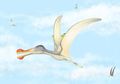 Para Ilmuwan Menemukan Tiga Spesies Pterosaurus Baru di Sahara