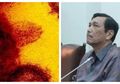 Kabar Gembira Bagi Kita Semua, Tangan Kanan Joko Widodo Ini Yakin April Wabah Corona Akan Berakhir, Luhut: 'Indonesia Sebenernya Diuntungkan', Kok Bisa?