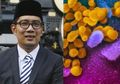 Bak Ketiban Durian Runtuh! Warga Jawa Barat Dapat Banyak Bantuan dari Negara Ini untuk Tangani Virus Corona, Ridwan Kamil Sampai Ucap Syukur: ‘Alhamdulillah’