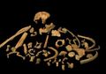 Homo antecessor, Manusia Purba Kanibal Tertua Berusia 800 Ribu Tahun
