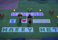 Lagi Karantina Corona, Cowok Ini Lamar Pacar Pakai Game Animal Crossing