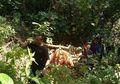 Detik-detik Longsor di Bogor Tewaskan 2 Orang Wisatawan, Sempat Kirim Pesan Singkat Dua Jam Sebelum Ditemukan Tak Bernyawa