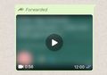 Cegah Hoaks Berantai, Forward Pesan WhatsApp Hanya Bisa Satu Kali