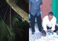 2 Bulan Nganggur Tak Ada Orderan karena Pandemi corona, Sopir Taksi Online Ini Nekat Gantung Diri di Belakang Rumah, Depresi Usai Ditagih Cicilan Mobil