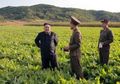 Kenali Dangogi, Menu Super di Korea Utara yang Disebut-Sebut Kim Jong Un Bisa Membuat Rakyatnya Makin Tangguh, Mungkin Anda Ragu Mencobanya Jika Tahu Terbuat dari Apa