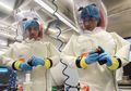 Menggemparkan Dunia, Tempat Ini Dituding Jadi Tempat Asal Muasal Virus Corona yang Renggut Ribuan Nyawa, Ternyata Laboratorium di Wuhan Simpan 1.500 Virus Paling Mematikan Sepanjang Masa
