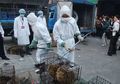 Pasar Hewan Wuhan Disebut sebagai 'Biang Kerok' Virus Corona, Ternyata Inilah Alasan Orang China Suka Makan Hewan Liar