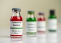 Hanya Pakai Obat Kutu, Ilmuwan Australia Hilangkan Virus Corona Dalam Waktu 24 Jam