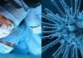 Mulai Memasuki Musim Panas, Ilmuwan Temukan Kabar Baik, Virus Corona Akan Mengalami Dampak Ini Ketika Musim Panas Tiba