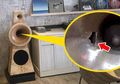 Anaknya Merusak Sistem Audio di Kedai Kopi, Ibu Ini Kaget setelah Dituntut Ganti Rugi sebesar Rp 462 Juta! Begini Cerita Selengkapnya...