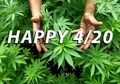 Ternyata Ini Kisah Dibalik Kode 4:20 dengan Orang yang Kecanduan Ganja