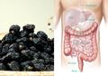 Manfaat Kurma Ajwa untuk Kanker Karena Kandungan Nutrisi Ini di Dalamnya dan Ini Manfaat Lainnya, Termasuk Turunkan Tekanan Darah