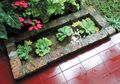 Begini Tips Hadirkan Kolam Ikan Kecil dan Murah di Rumah, Ini Dia!