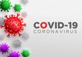 Ucap Syukur, Tangan Kanan Jokowi Beri Kabar Baik Soal Perkembangan Kasus Virus Corona di Indonesia, Apa Itu?
