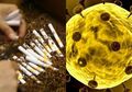 Berawal dari Kebohongan, Pabrik Sampoerna 'Menjelma' jadi Klaster Penyebaran Virus Corona, Rokok yang Dijual Tetap Aman dari Virus?