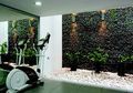 Taman Kering dengan Pendaran Lampu di Batu Koral, Sederhana Memikat!