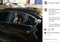 Dr Tirta Kemalingan dan Kaca Mobil Dipecah, Hasil Uji APD Lokal Turut Disikat