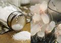 Ternyata Bumbu Dapur Ini Ampuh Untuk Mengusir Tungau di Kasur, Mudah! Begini Caranya