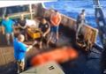Bikin Geram Satu Indonesia, Kemenlu Bongkar Alasan Kapal China Nekat Buang Mayat ABK ke Laut: Sudah Berdasarkan Persetujuan