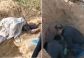 Benar-benar Raja Tega, Seorang Anak Sampai Hati Kubur Hidup-hidup Ibu Kandungnya yang Lumpuh di Liang Lahat Kuburan Kosong, Begini Kondisinya Usai 3 Hari Merintih Minta Tolong