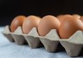 Lebih Awet dari Kulkas, Menyimpan Telur Ayam Segar di Dalam Beras Ternyata Punya Manfaat Sangat Besar