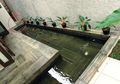 Bagaimana Cara Sembunyikan Pompa Kolam Ikan? Mudah, Ikuti Tips Ini!