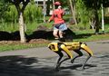 Ingin Bikin Warganya Taat Social Distancing, Singapura Lepas Robot Anjing di Taman