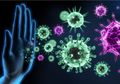 Bak Petir di Siang Bolong, Ahli Sebut Jenis Virus Corona di Indonesia Tak Masuk Kategori yang Ada di Dunia, Pembuatan Vaksin Sia-Sia?