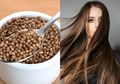 Ini Manfaat Biji Ketumbar Hitam, Salah Satunya Menguatkan Rambut