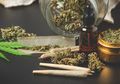 Viral Wacana Ganja Dapat Sembuhkan Pasien Covid-19, Para Ahli Angkat Bicara