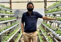 Dulu Jadi Pejabat dengan Segudang Prestasi, Mantan Menteri Ini Pilih Jadi Petani Sayur Mayur di Tengah Gemerlap Kota Jakarta: Senang Juga...