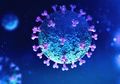 Jauh Sebelum Indonesia Terpapar Covid-19, Ilmuwan Pernah Ungkap Hanya 3 Skenario yang Bisa Mengakhiri Virus Corona, Meski Virus Ini Tak Bisa Dimusnahkan
