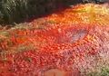 Gegerkan Warga, Sungai di Israel Mendadak Berubah Menjadi Merah Darah Seperti Wabah Darah di Mesir, Terungkap Ternyata dari Sinilah Darah Tersebut Mengalir