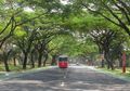 Di Tengah Pandemi Covid-19 Prospek Properti Masih Bagus Khususnya Bagi Pengembang yang Mengusung Konsep Hunian Hijau, Ini Buktinya!