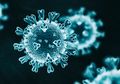 Covid Hari Ini 29 Mei 2020: Kasus Virus Corona di Dunia Mencapai 5,9 Juta hingga Ada 14 Negara dengan Jumlah Covid-19 yang Melebihi China