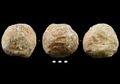 Misteri Berumur 2.000.000 Tahun dari Gua Israel Akhirnya Terpecahkan, Mengapa Manusia Purba Membuat Bola-bola Batu?