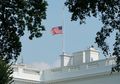Hampir Mencapai 100.000 Kematian, Amerika Kenang Korban Covid-19 Kibarkan Bendera Setengah Tiang