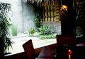 Kebutuhan Sinar Matahari Tanaman Indoor bisa Digantikan Lampu LED Ini!