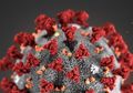 Selama Ini Dituduh Infeksi Dunia, Ternyata Bukan China yang Jadi Tempat Asal Usul Virus Corona, Melainkan 3 Negara Ini, Salah Satunya Musuh China!