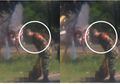 Hanya Lakukan Hal Sederhana Ini, Sersan Anak Buah KSAD Jenderal Andika Perkasa Kini Viral di Sosial Media, Tuai Pujian dari Petinggi Sampai Dipuja-puja Netizen: Kami Titipkan Negara Ini Pak