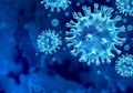 Dunia Belum Selesai dengan Covid-19, WHO Laporkan Adanya Virus Ebola Baru di Kongo