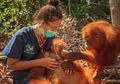 Dikhawatirkan Populasinya Bisa Musnah Gara-gara Virus Corona, 400 Orangutan Batal Dilepas ke Habitat Asli, Fakta Ini Jadi Pertimbangan