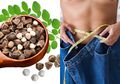 Manfaat Biji Kelor untuk Kesehatan Termasuk Turunkan Berat Badan