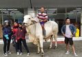 Begini Sekarang Nasib Sapi yang Sempat Viral Dinaiki ke Minimarket, Pemilik: 'Penurut, Disuruh Apa Saja Mau, Seperti Diam atau Duduk'