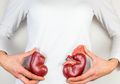 Cegah Komplikasi Diabetes Sebelum Terlambat, Lakukan Cek Mikroalbuminuria