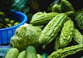 Bukan Dimasak, Manfaat Rutin Minum Jus Pare Ternyata Bisa Bikin Tubuh Berubah Seperti Ini Termasuk Baik untuk Penyandang Diabetes