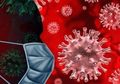 Bukan Akhir Tahun 2019, Tapi Virus Corona Mungkin Sudah Menyebar di China Sejak Agustus 2019, Ini Bukti-buktinya